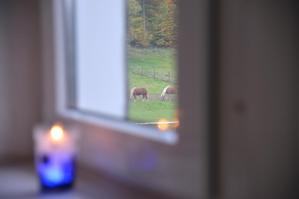 Ferienwohnung Schadler Windeck Zewnętrze zdjęcie