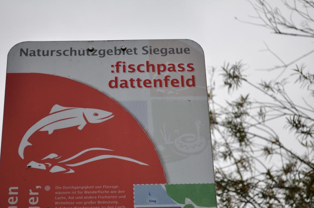 Ferienwohnung Schadler Windeck Zewnętrze zdjęcie